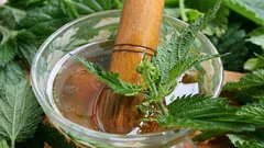 Come trasformare la semplice ortica in un fertilizzante utile: ricetta di un infuso nutriente