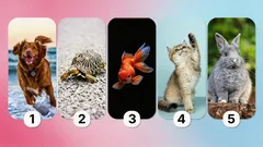 Cosa rivela la scelta dell’animale domestico: il test che svela la personalità