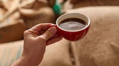 Un esperto consiglia di non bere caffè appena svegli: quanto tempo bisogna aspettare?
