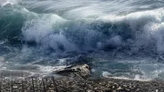 Un asteroide ha provocato un megatsunami al largo delle coste europee: dove e quando è successo?